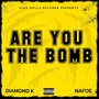 Are You the Bomb (Explicit)