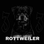 Rottweiler 3