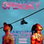 Open Sky (feat. Lil Knoc) [Explicit]