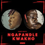 Ngaphandle Kwakho