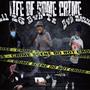 Life of some crime (Explicit)