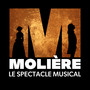 Molière, le spectacle musical