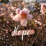 Hope
