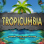 Cumbias Tropicales Pal Baile Vol. 2