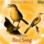 Bird Song