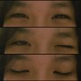 Daun Yang Jatuh
