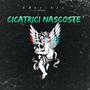 Hidden Scars (CICATRICI NASCOSTE) [Explicit]