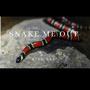 Snake Me Out (Explicit)