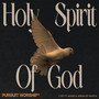 Holy Spirit of God (Live)