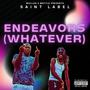 Endeavors (Whatever) [Explicit]