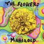 Marigold (Explicit)