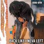 Back Like I Never Left (Explicit)