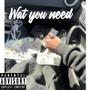 Wat you need (feat. Vybe & Tso9ina)