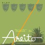 A Tribute To Areito