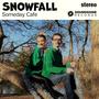 Snowfall (feat. Andrea Schmidt)