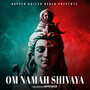 Om Namah Shivaya