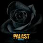 Palast (feat. JUEA) [Explicit]