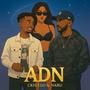 ADN (feat. Young Naru) [Explicit]