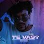 TE VAS?