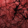 Veins (Explicit)
