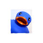 blue duck