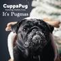 It's Pugmas (feat. Andres Cruz)