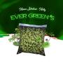 Ever Green's (feat. MollyDVybe) [Explicit]