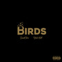 Birds (Explicit)