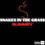 Snakes In The Grass (Explicit)