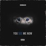 You See Me Now (Explicit)