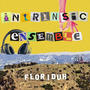 Intrinsic Ensemble (Explicit)