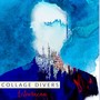 Collage divers (Explicit)