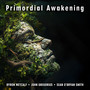 Primordial Awakening