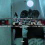 Pal Perreo (Explicit)