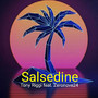 Salsedine