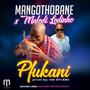 Pfukani-Mangothobane