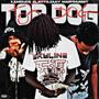 Top Dog (feat. 2lettajaay & KDuce) [Explicit]