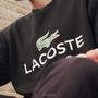 Croco sur le torse (Explicit)