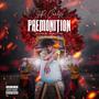 PREMONITION (Explicit)