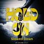 Hold On (Slowed Down)
