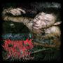 Your Last Wish (Explicit)