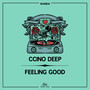 Feeling Good (Deep Mix)