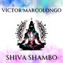 Shiva Shambo