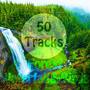 50 Tracks Forest Waterfall & Birds Sounds with Ambient Music Nature Sounds for Meditation Relaxation Spa Study