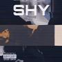 Shy (Explicit)