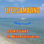 Life Is Amazing (feat. Michel Universe)