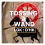 Tossing A Wand (D'HK) [Explicit]