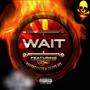 Wait (Explicit)