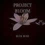 Project Bloom