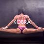 Kobra (Instrumental)